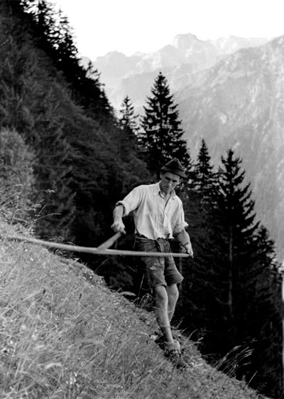 Maehen am Steilhang 1950
